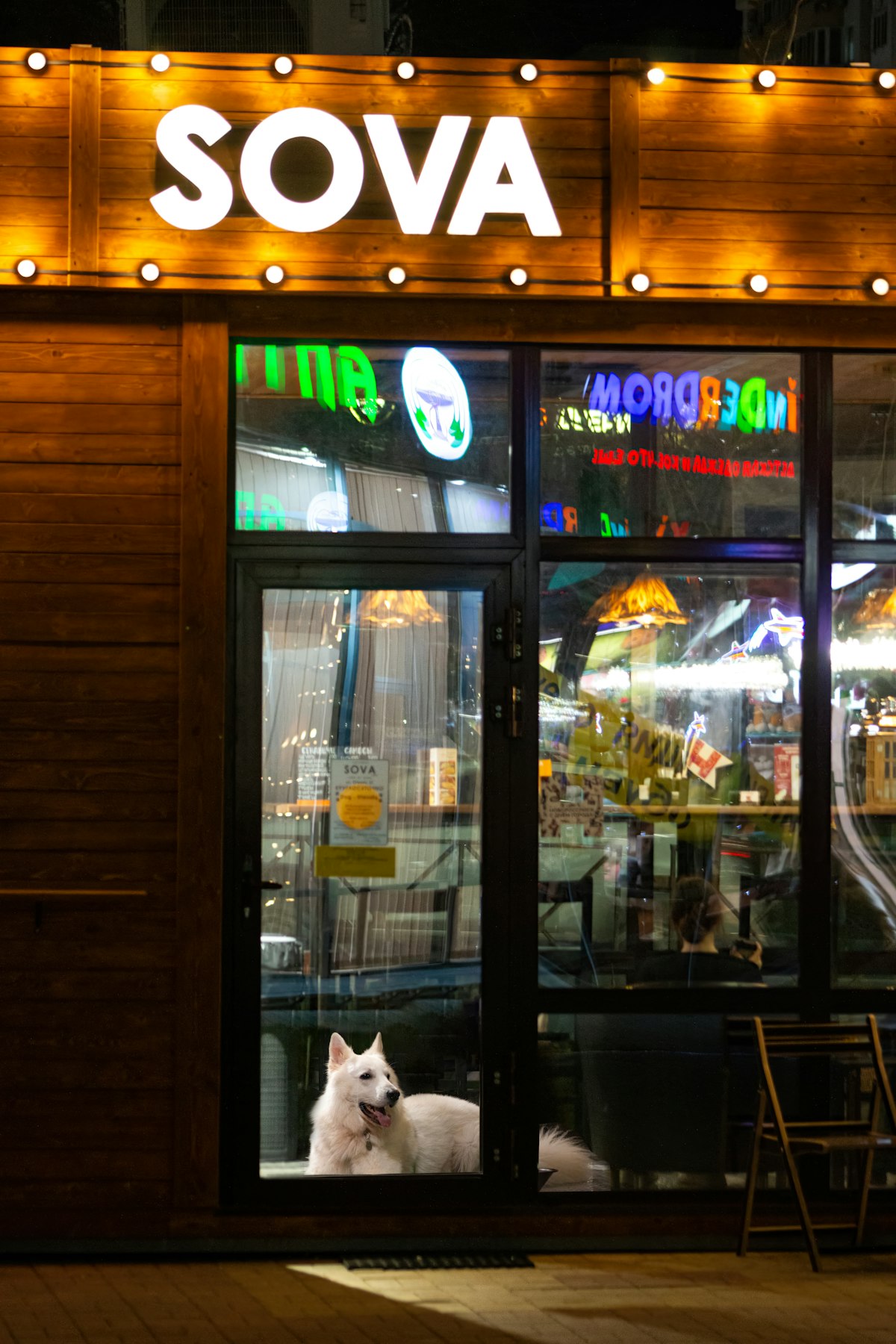 Dog sitting outside a shop